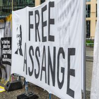 Procès de Julian Assange : l'accusé plaide  coupable