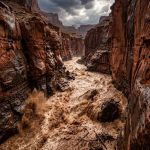 Grand Canyon : une crue soudaine fait un mort et laisse une quinzaine de personnes recherchées
